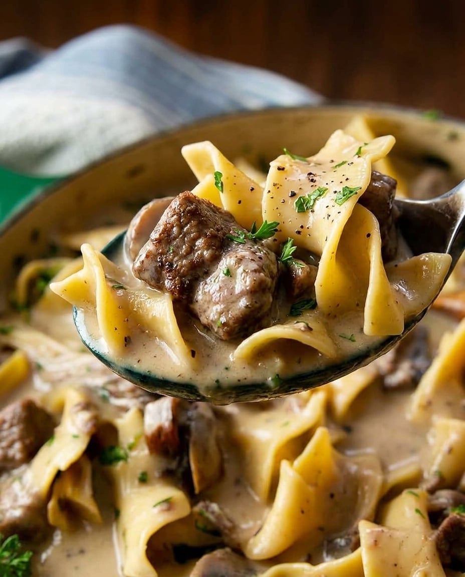 Finished Crock Pot Steak Stroganoff, Creamy Fix