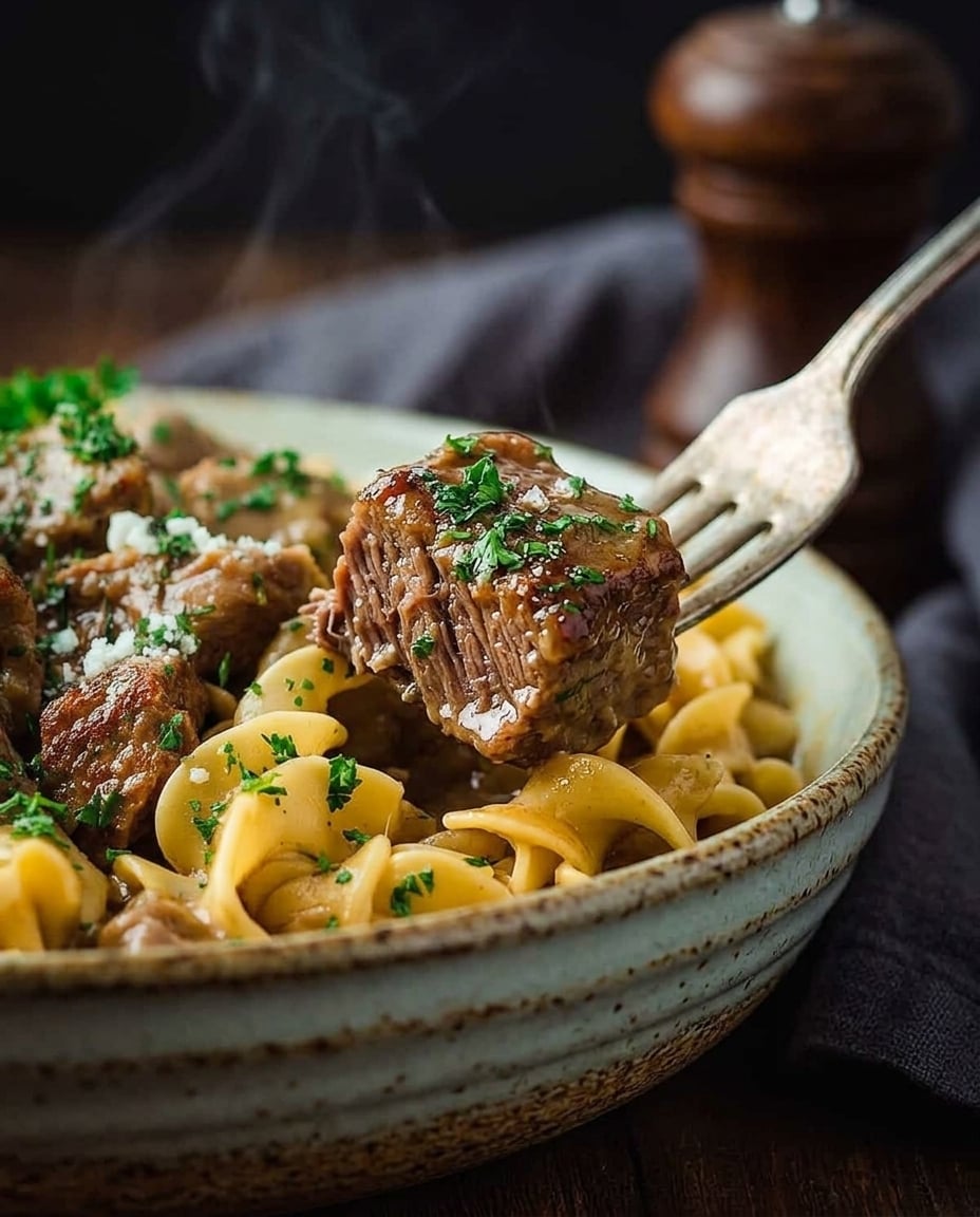 Finished Slow Cooker Beef and Noodles That Work